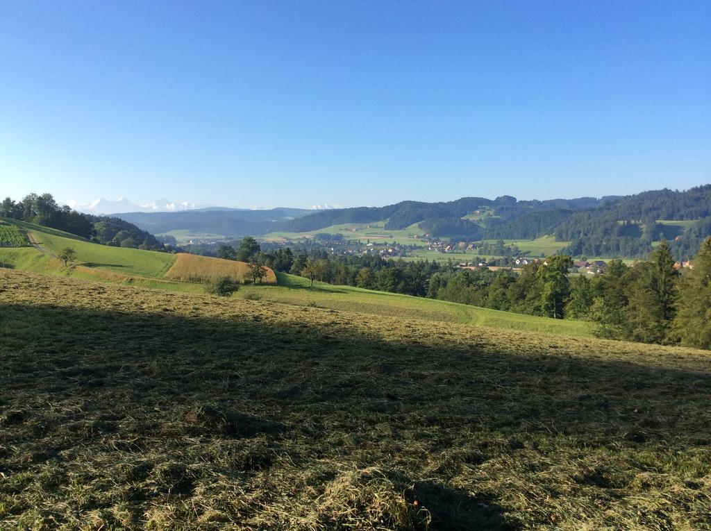 Landcafe Mit Mini Hotel Burgdorf Dış mekan fotoğraf